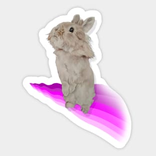 Begging lionhead bunny painting Sticker